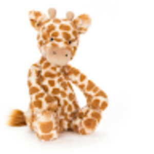 Meet your Posher, Lori lee